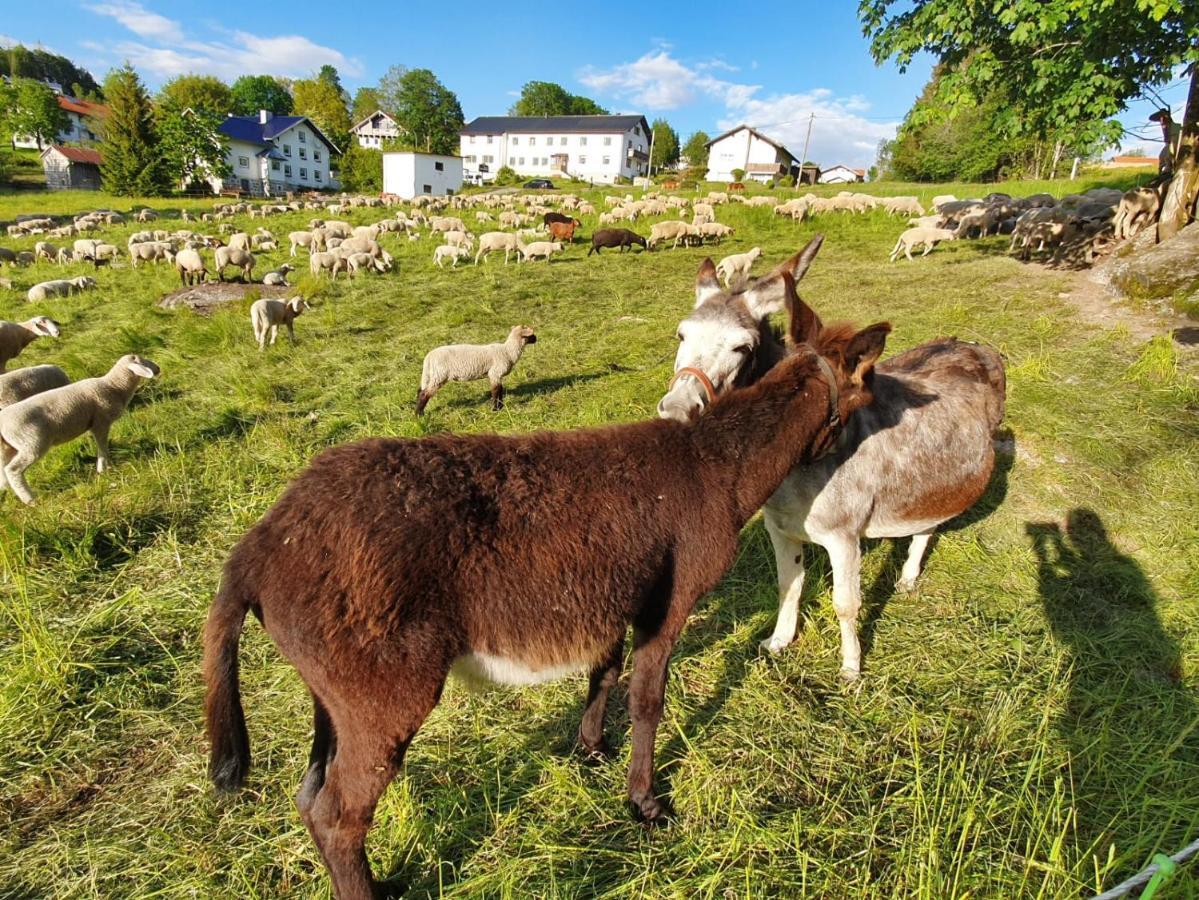 Haus Bergblick Leilighet Mauth Eksteriør bilde
