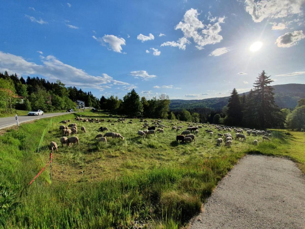 Haus Bergblick Leilighet Mauth Eksteriør bilde