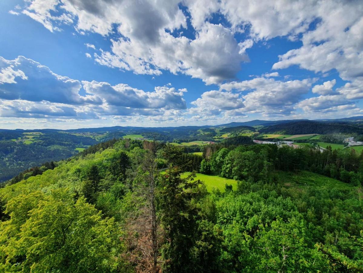 Haus Bergblick Leilighet Mauth Eksteriør bilde
