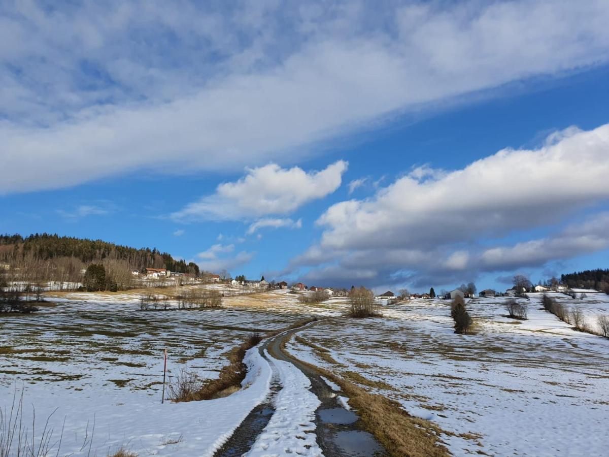 Haus Bergblick Leilighet Mauth Eksteriør bilde